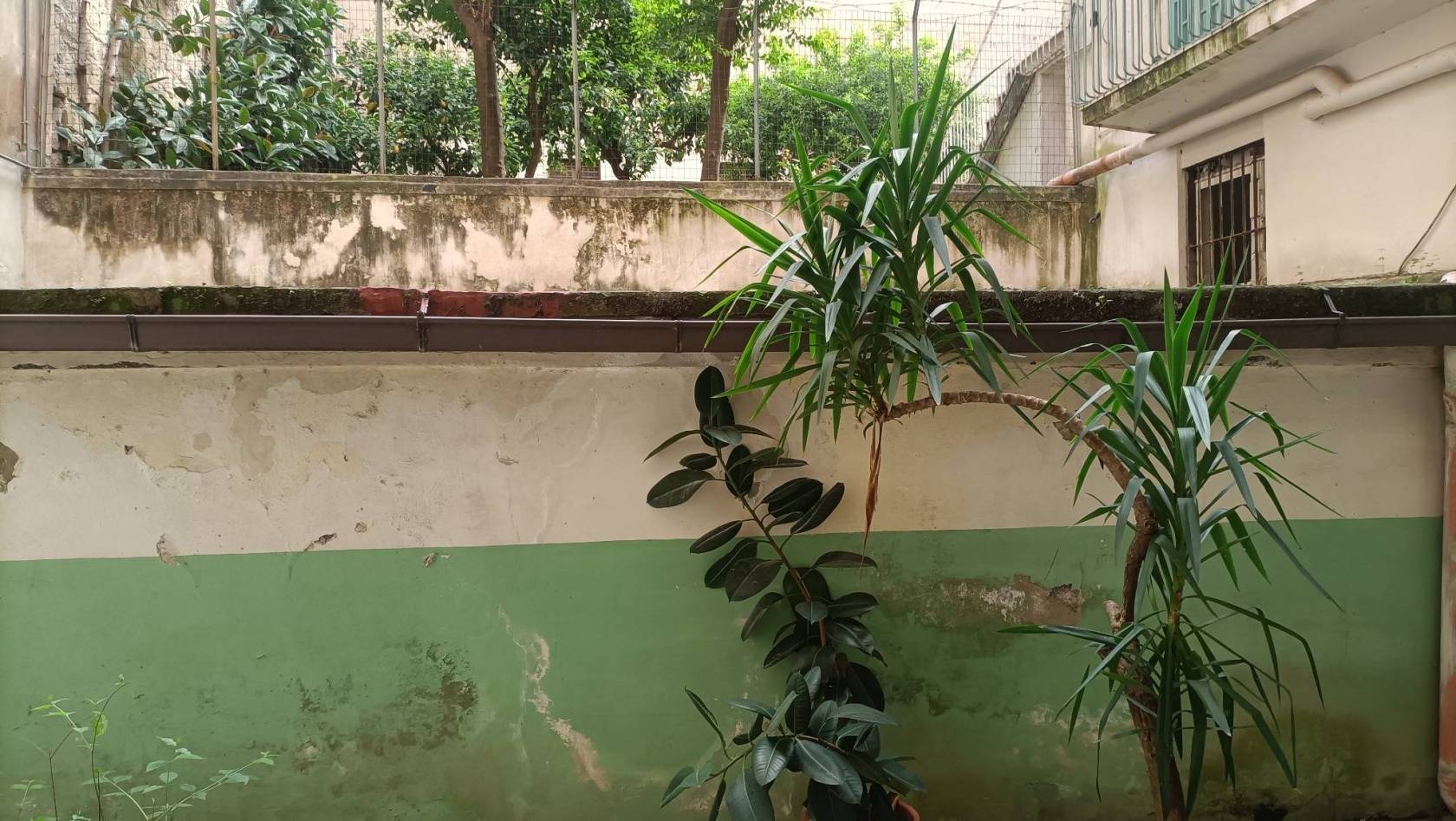 Cortile interno