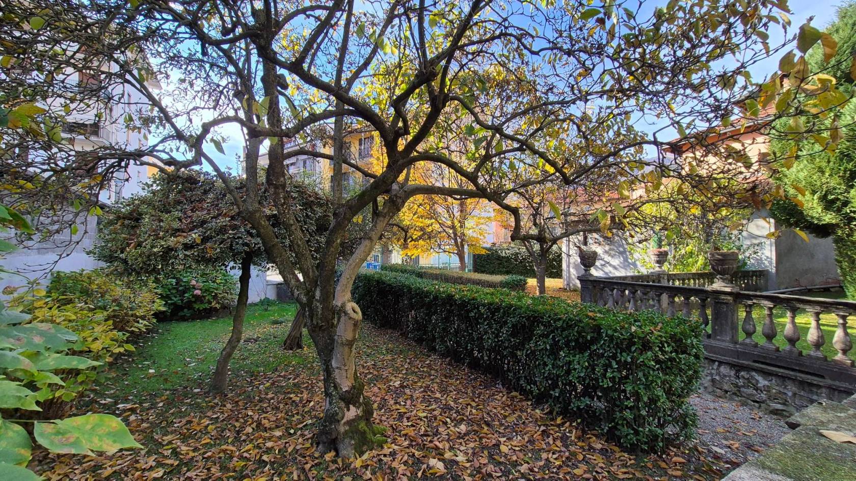 Giardino