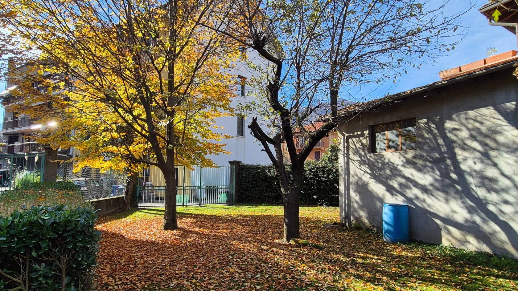 Giardino