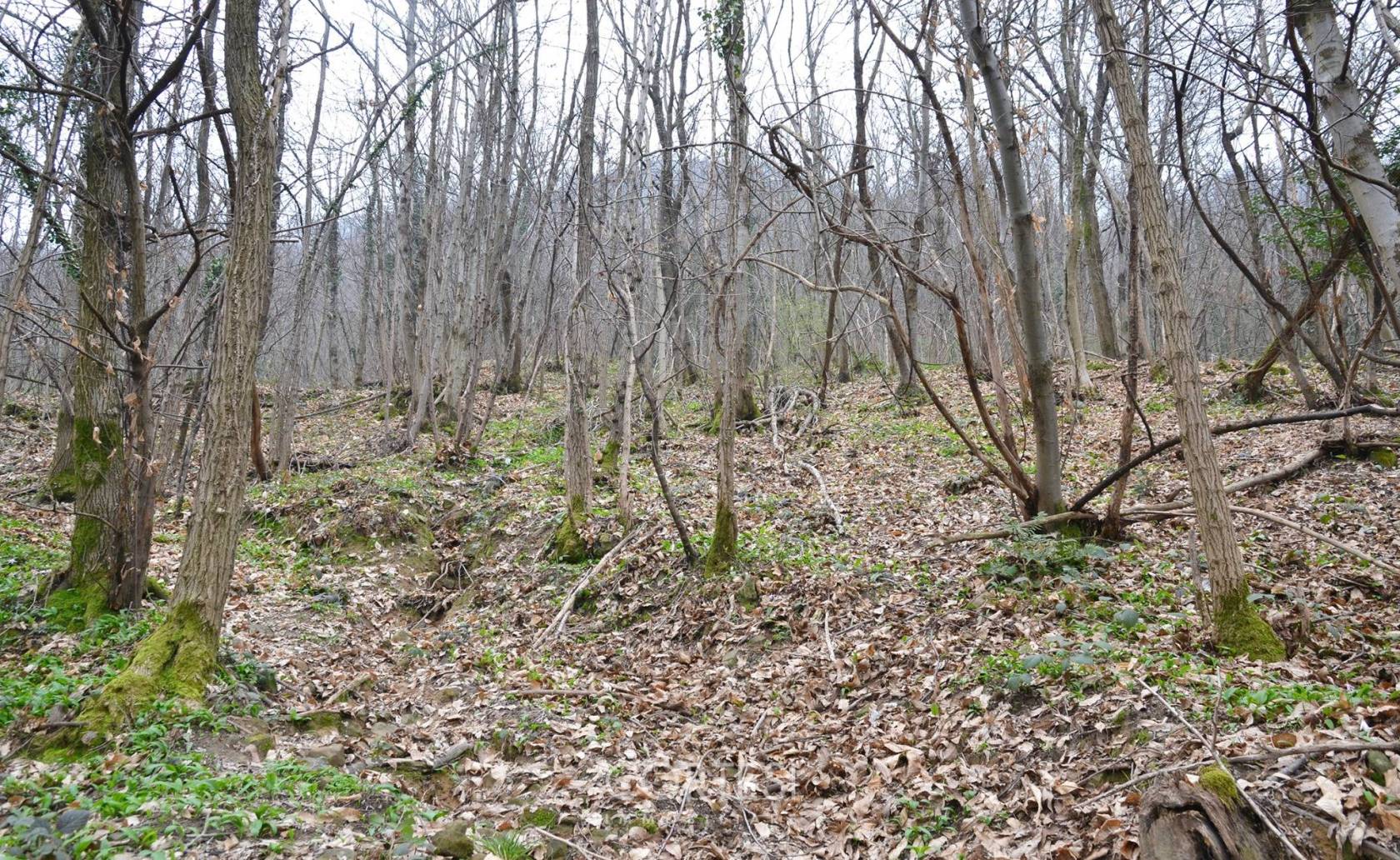 Terreno