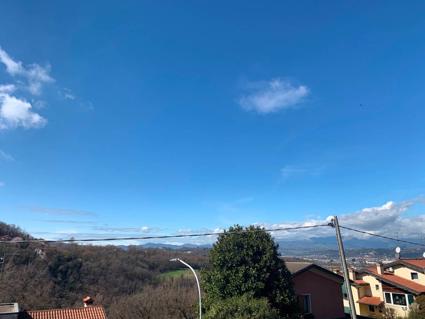 Vista