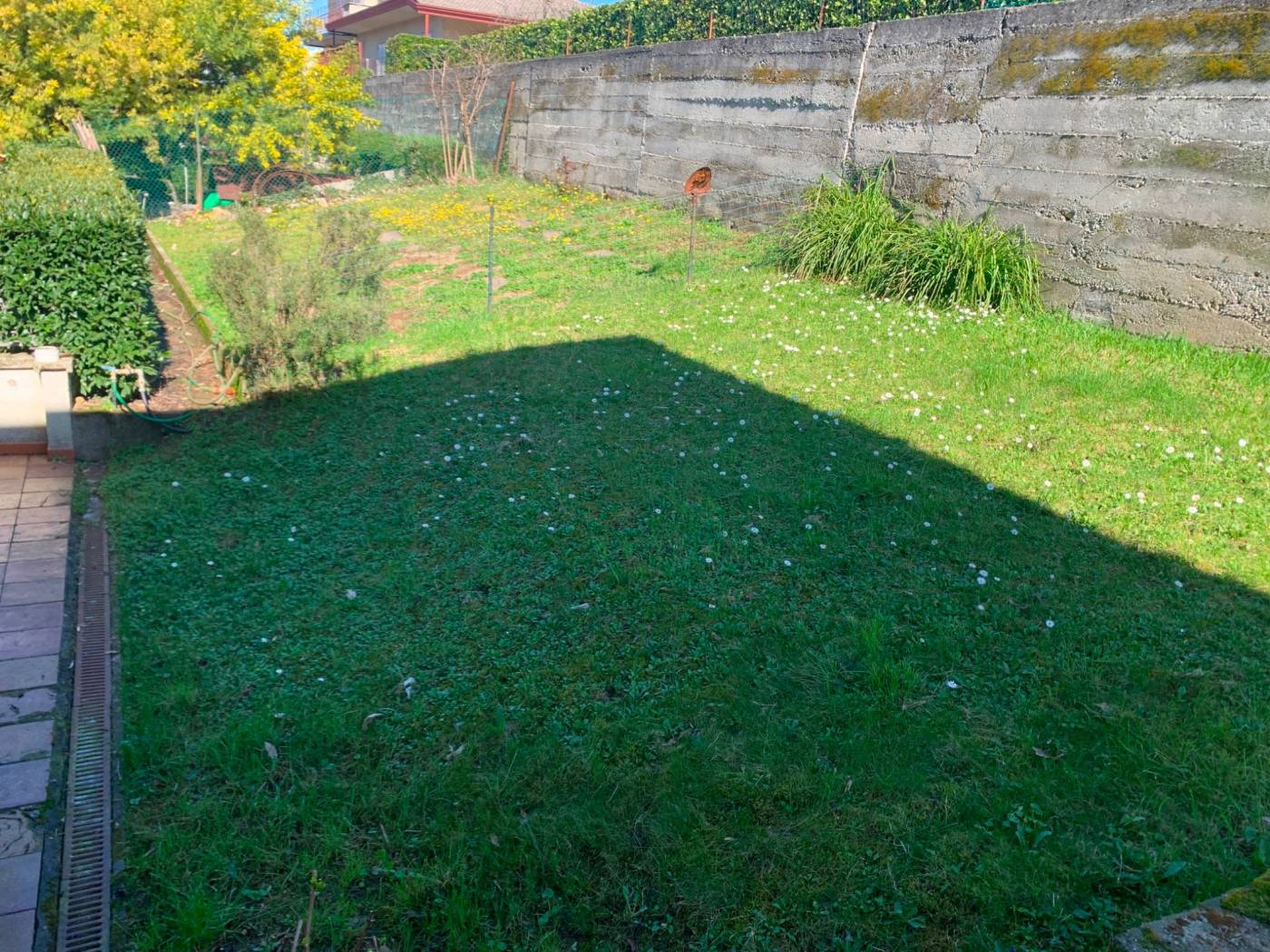 Giardino