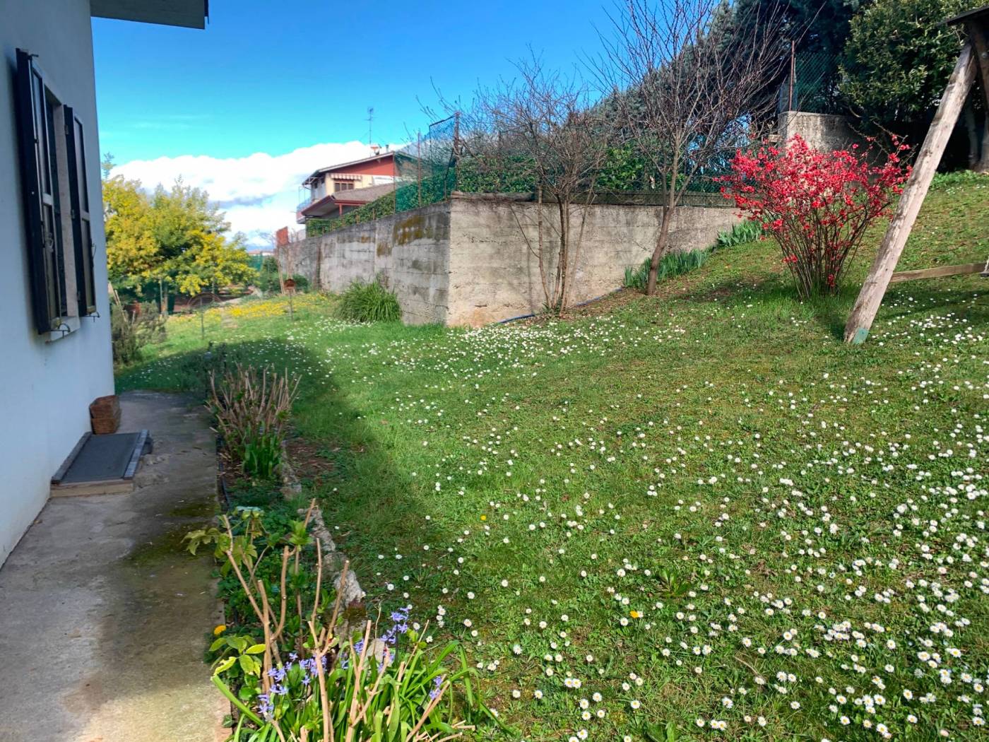 Terreno
