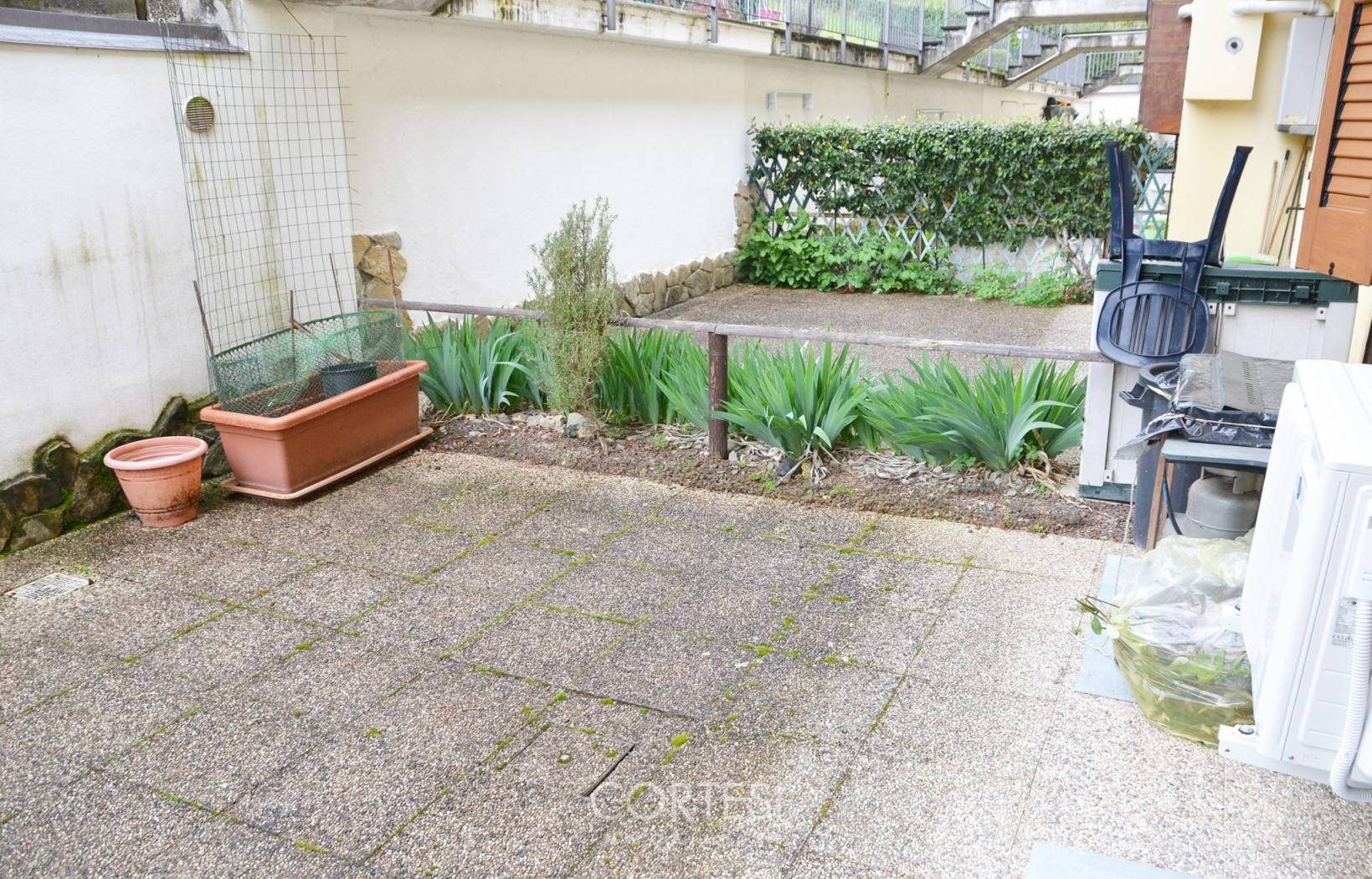 Giardino