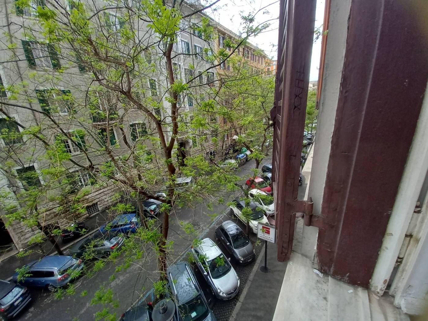 Vista
