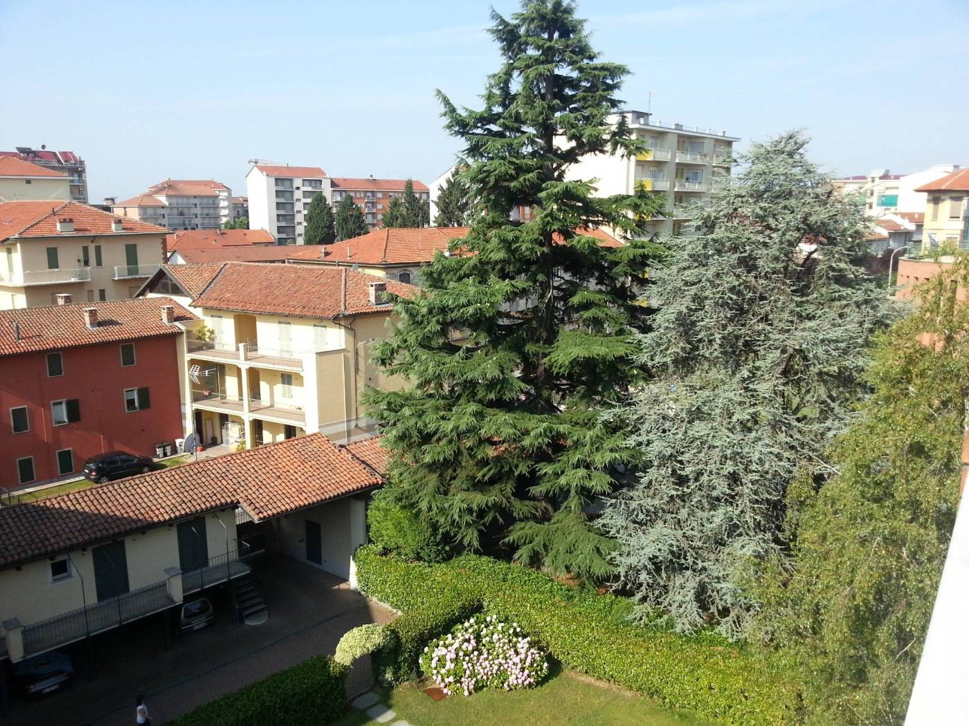 Vista