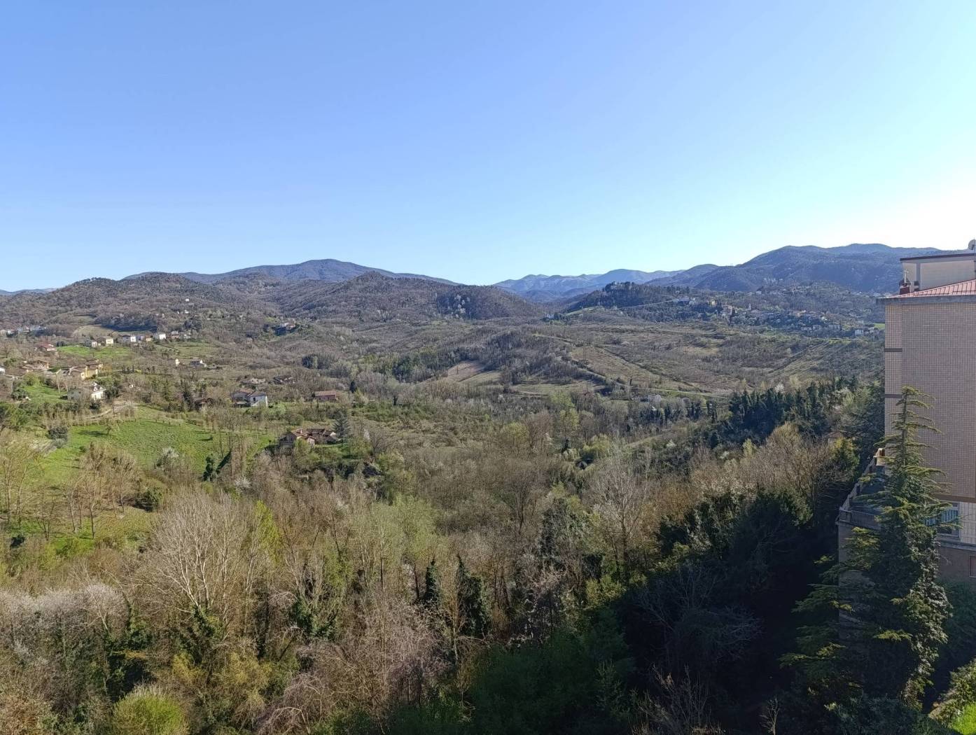 Vista