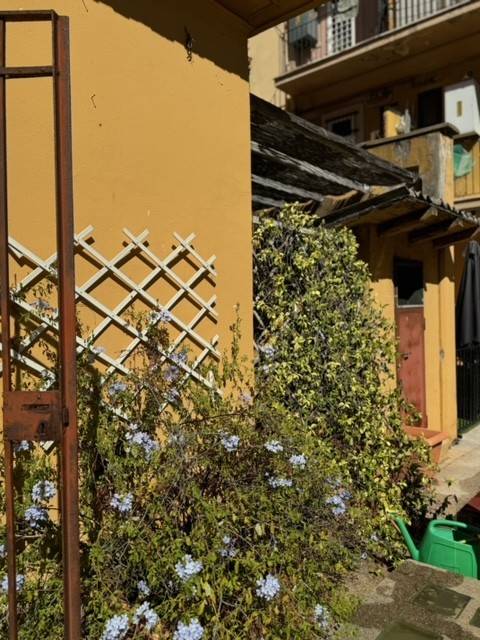 Facciata Facciata