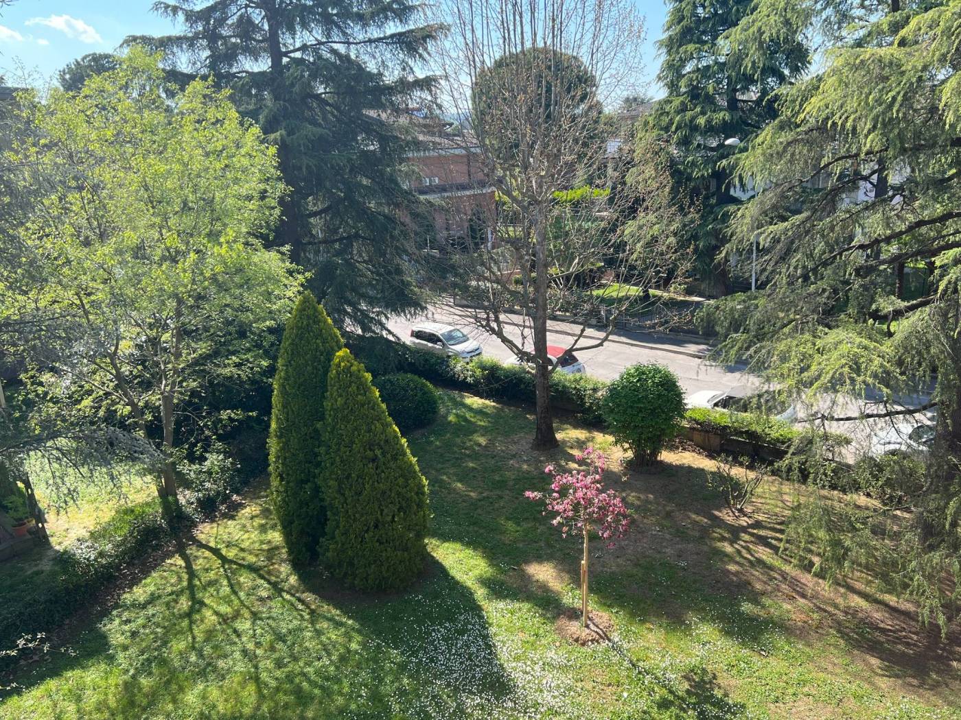 Giardino