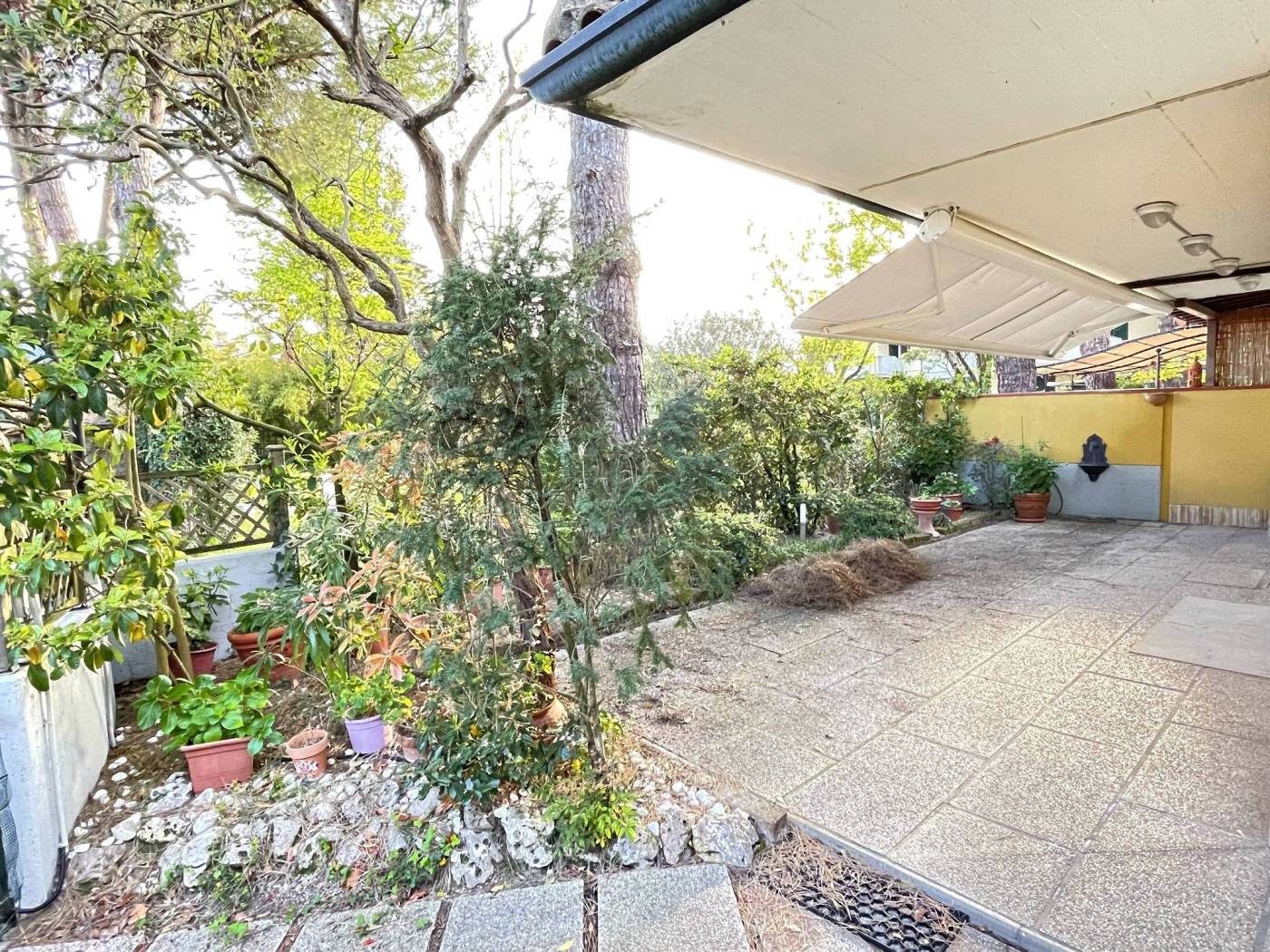 Giardino