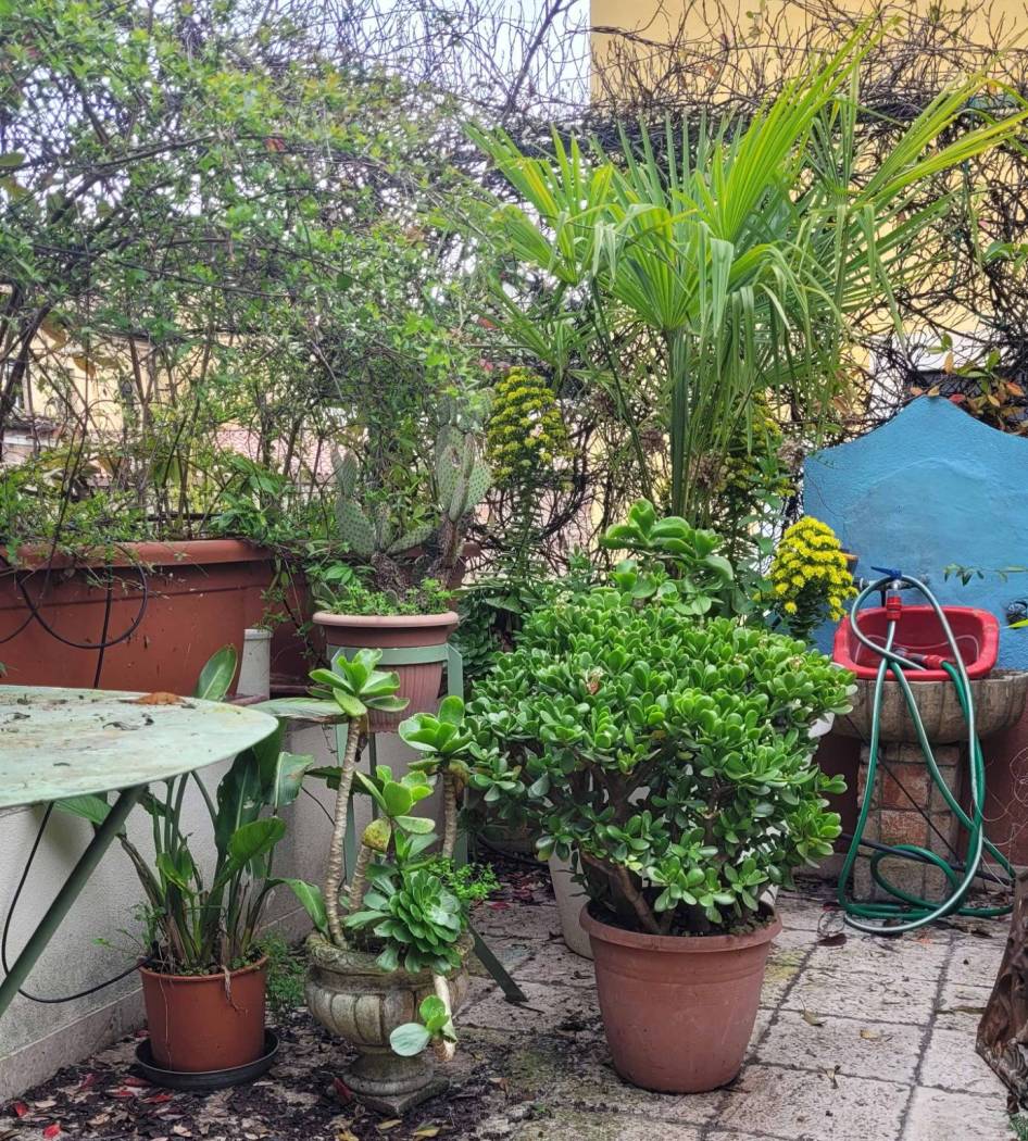 Balcone