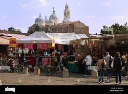 Zona