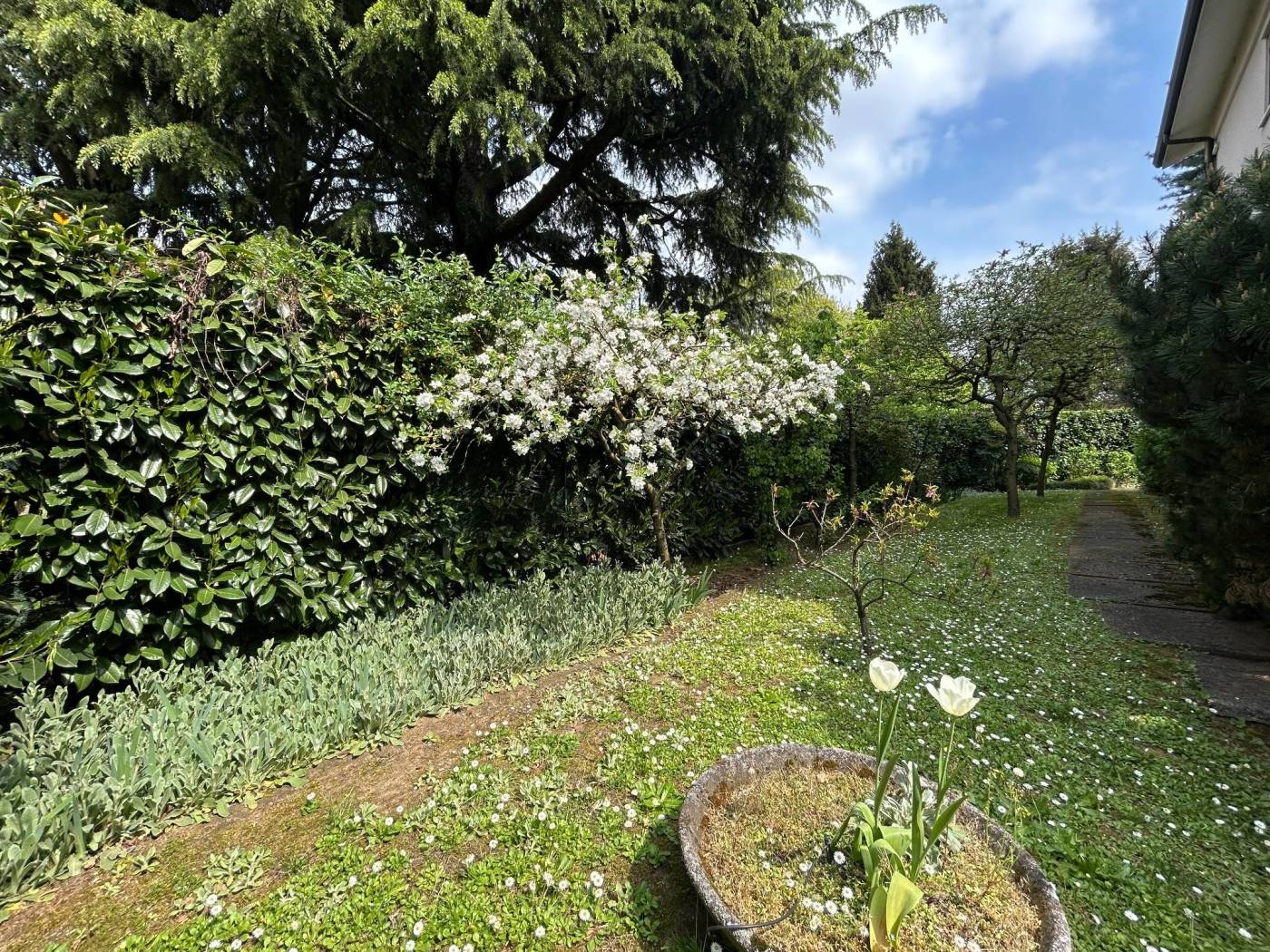 Giardino