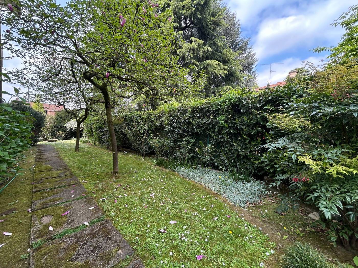 Giardino