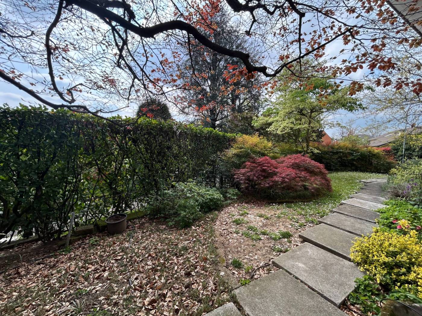 Giardino