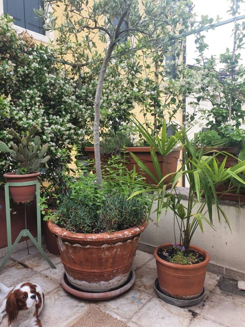Balcone