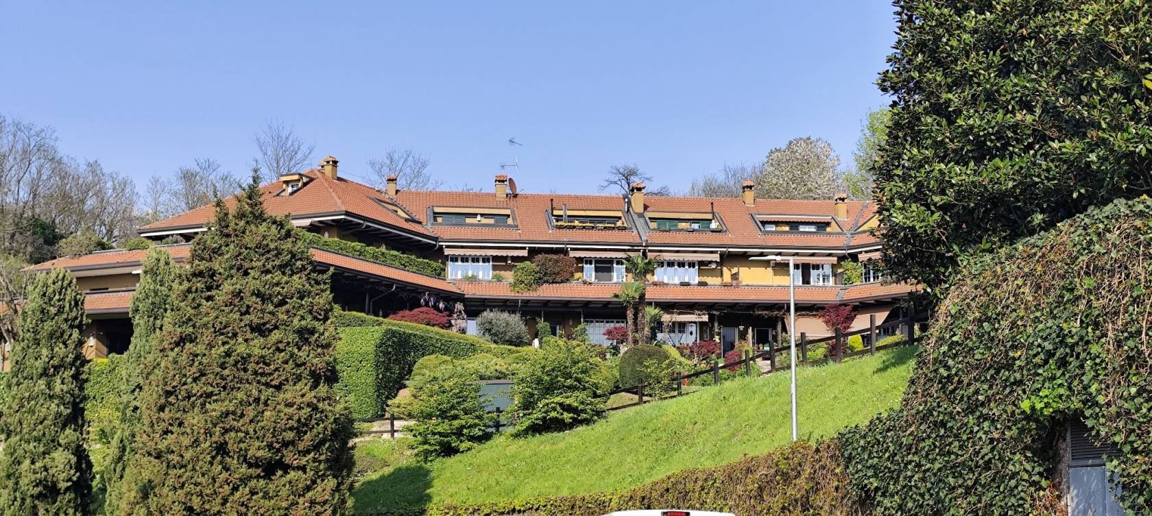 Vista