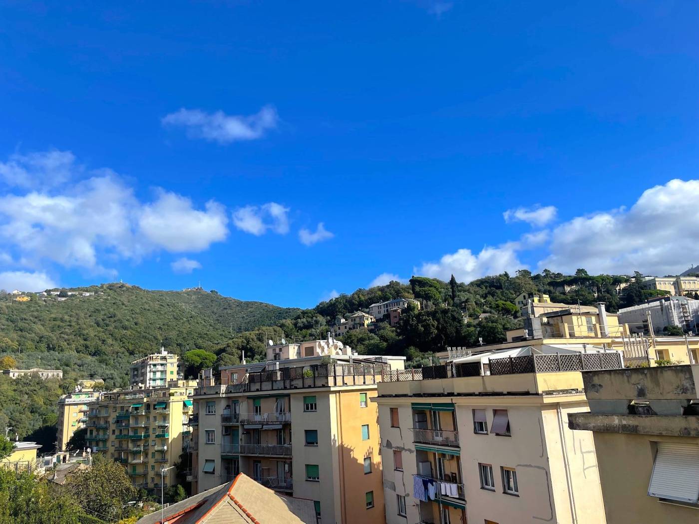 Vista