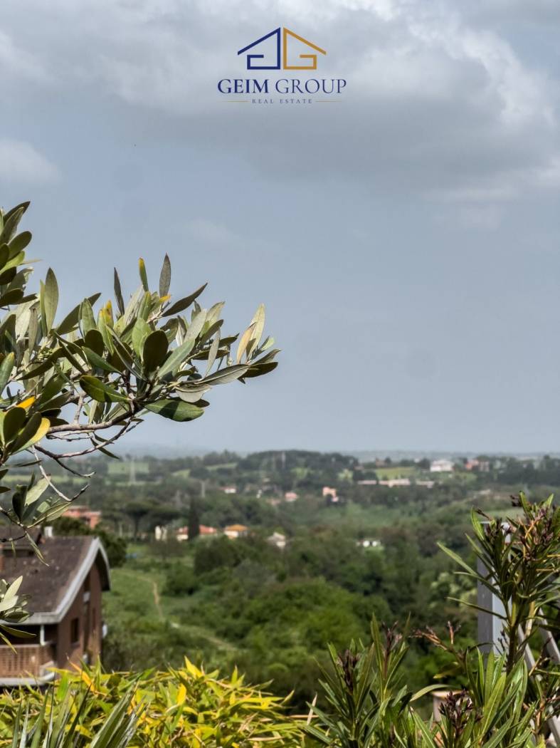 Vista
