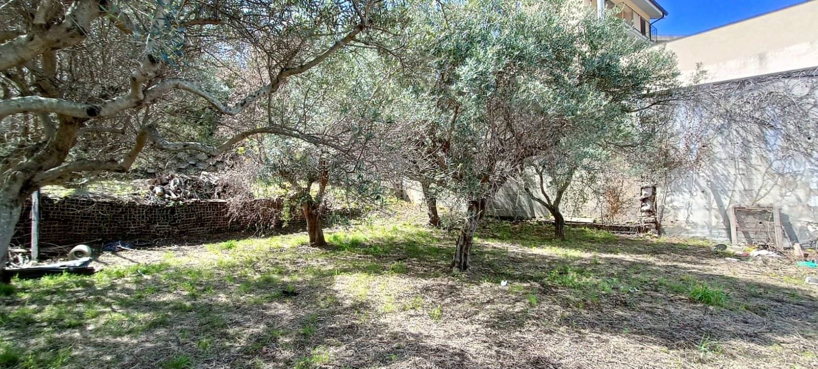 Terreno