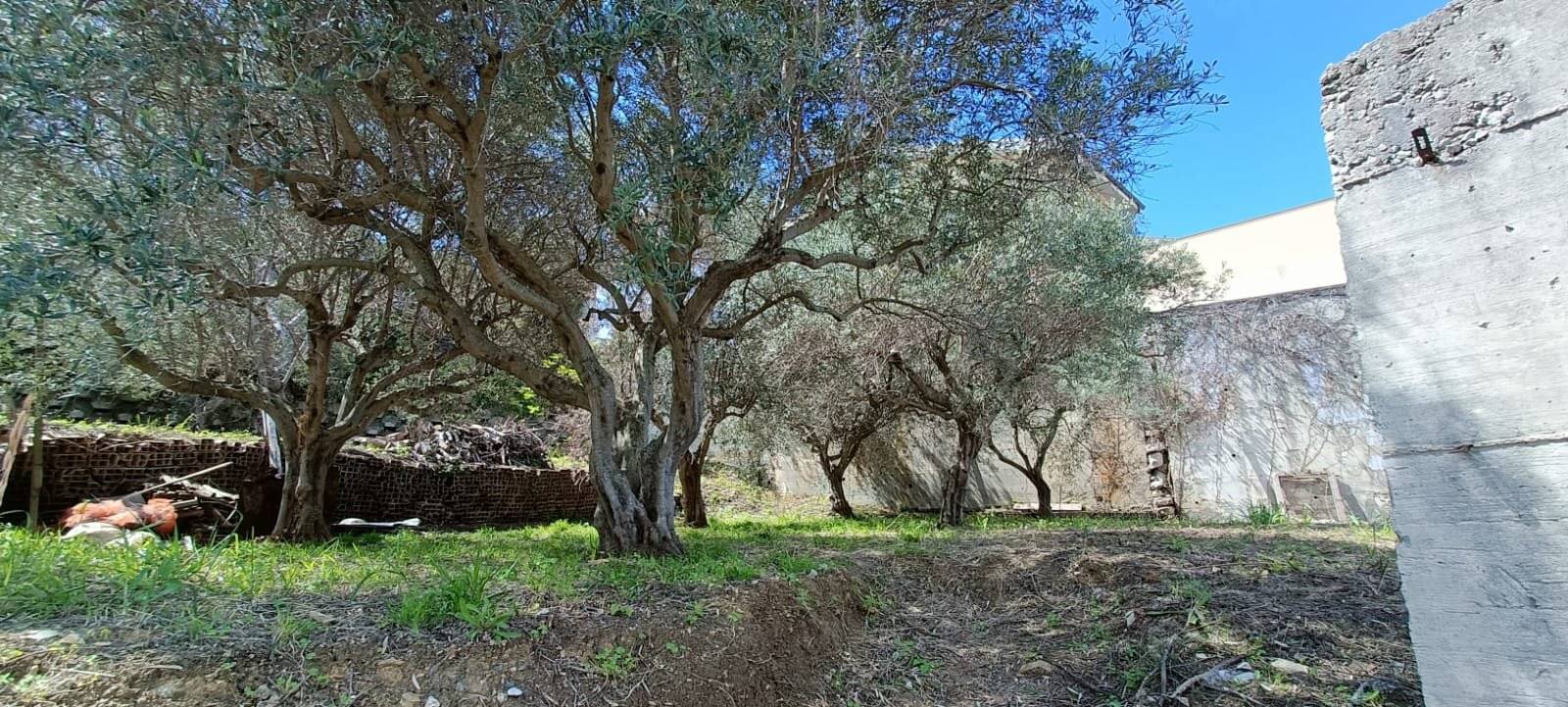 Terreno