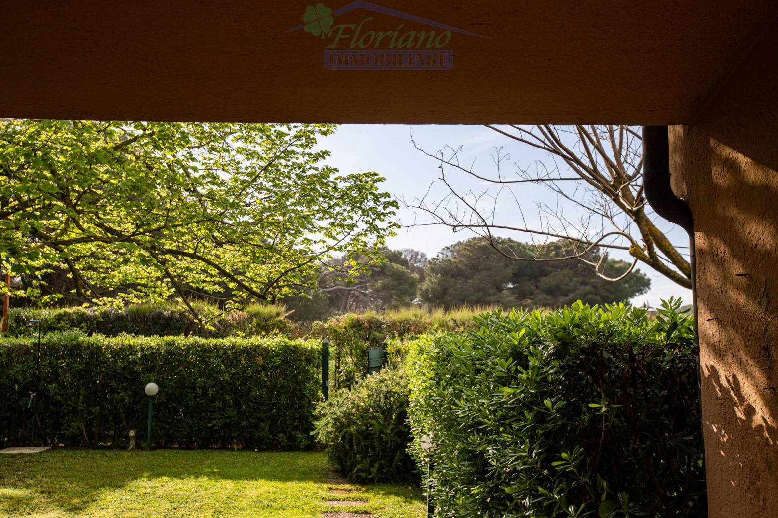 Giardino
