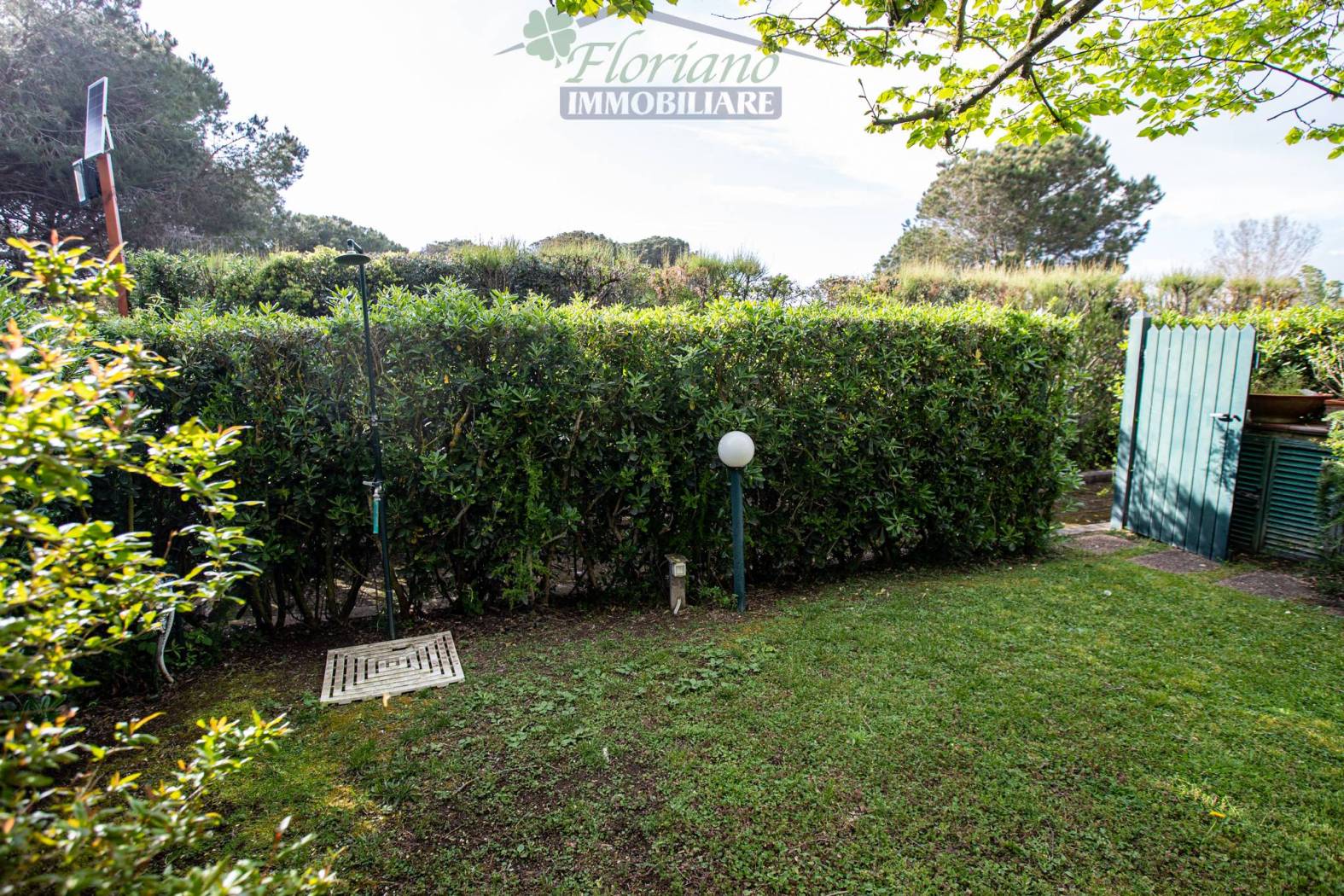 Giardino