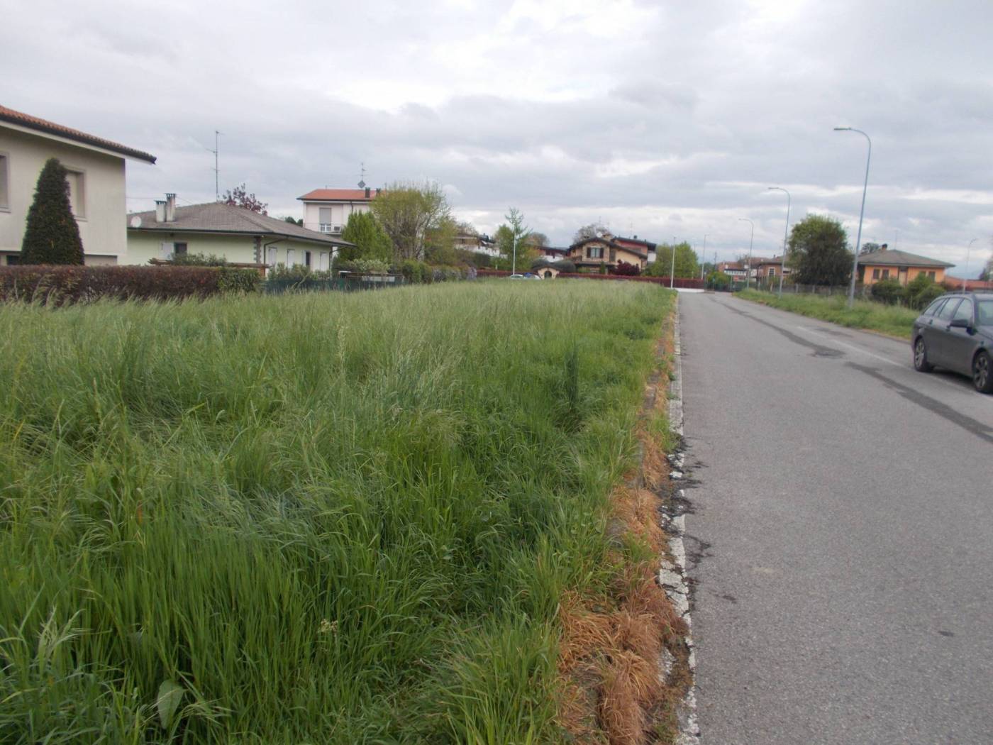 Terreno
