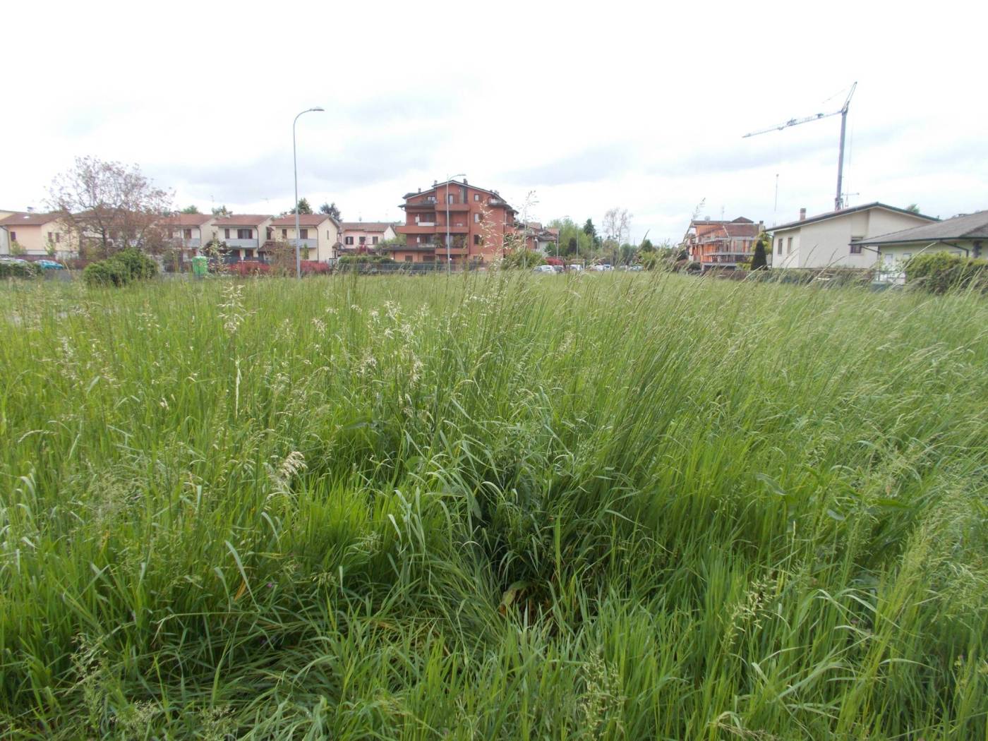 Terreno