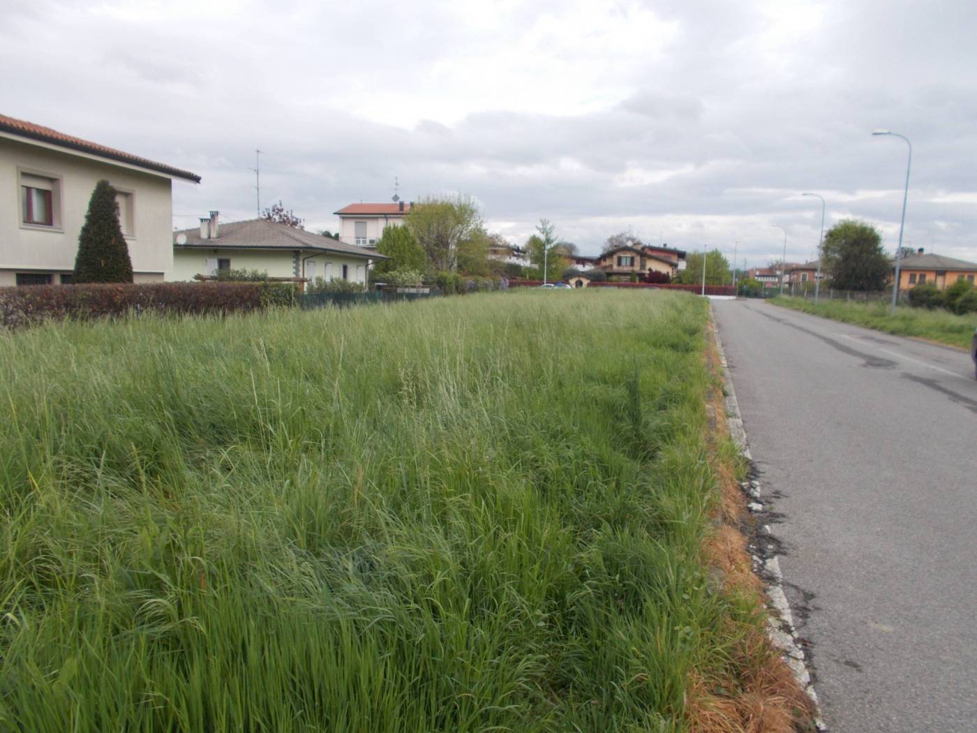 Terreno
