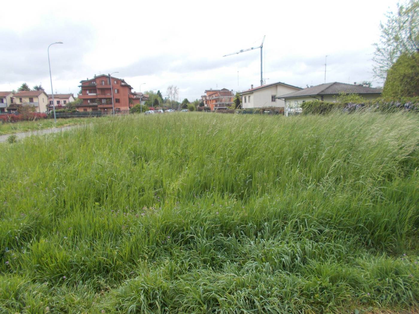 Terreno