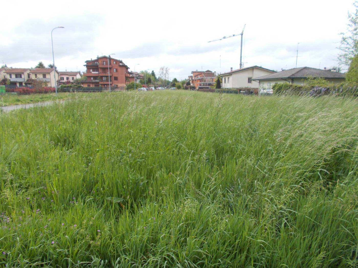 Terreno