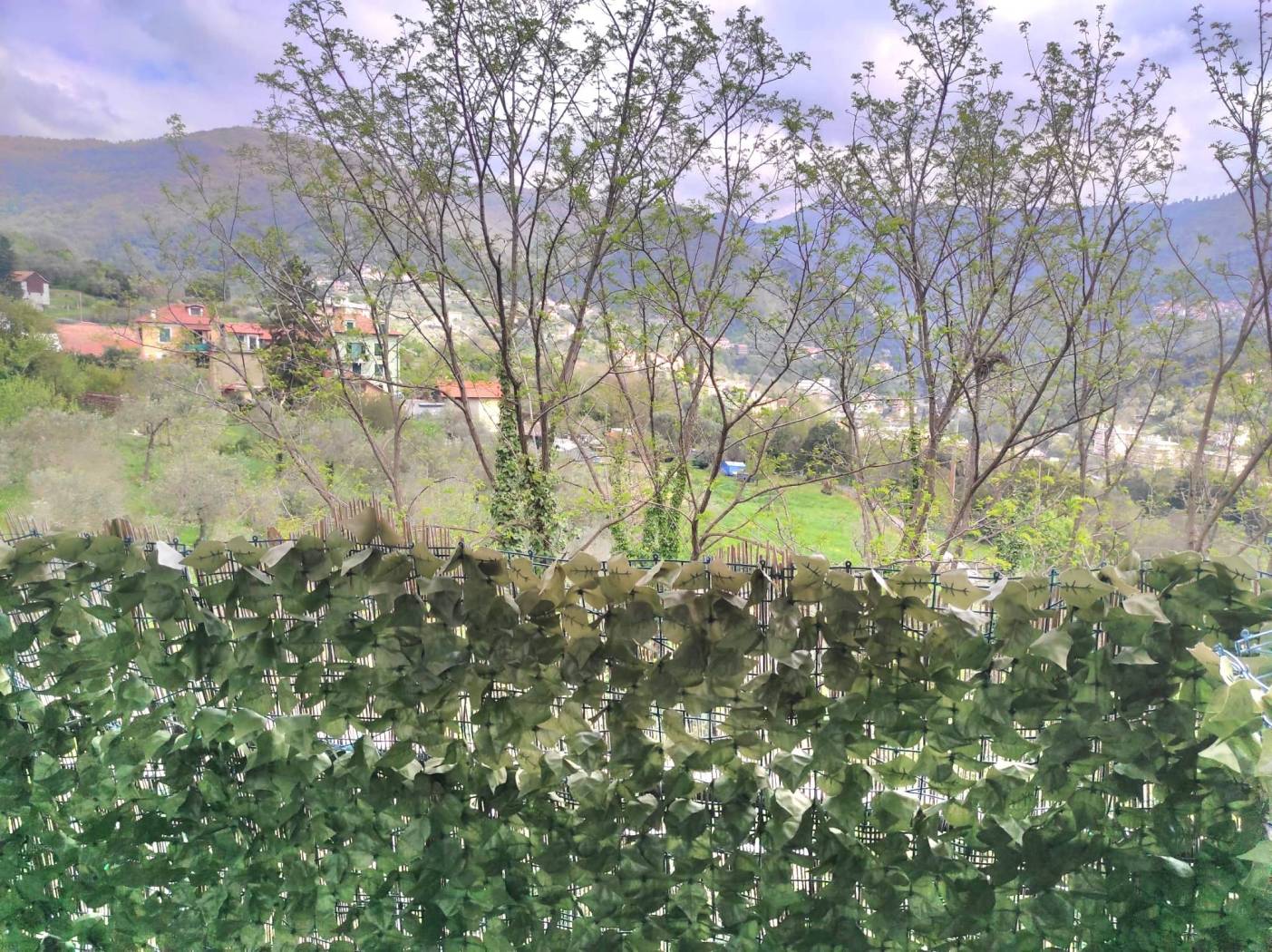 Vista