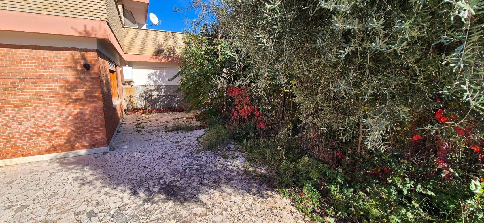 Giardino