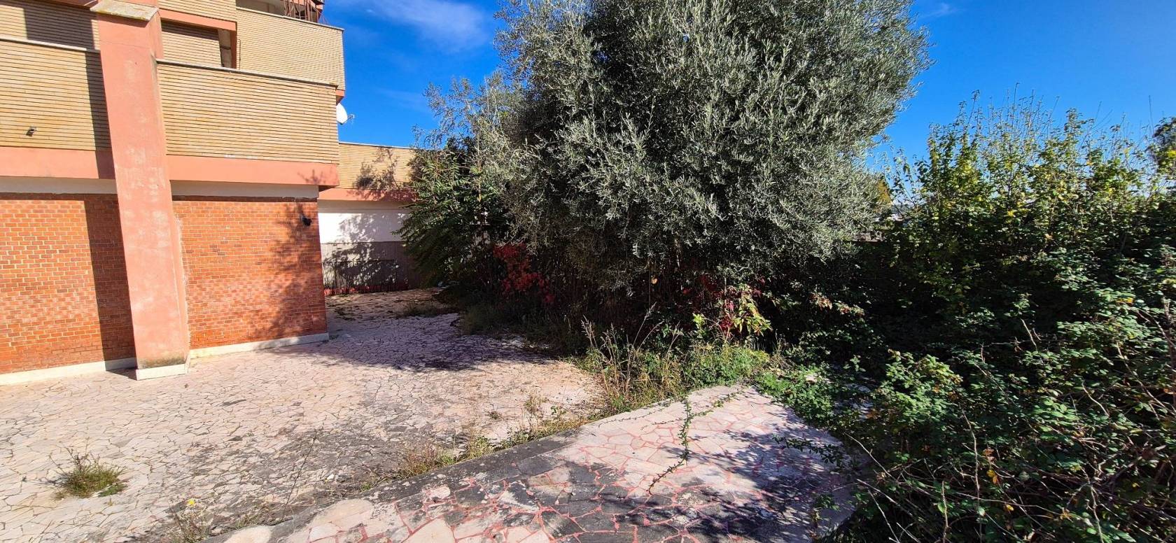 Giardino Giardino