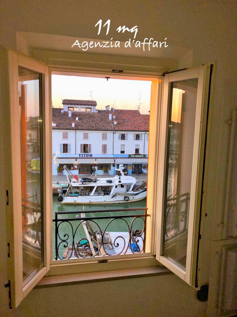 Vista