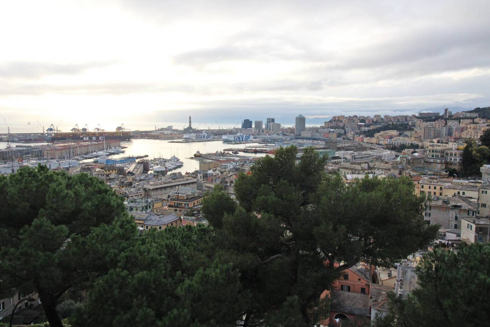 Vista
