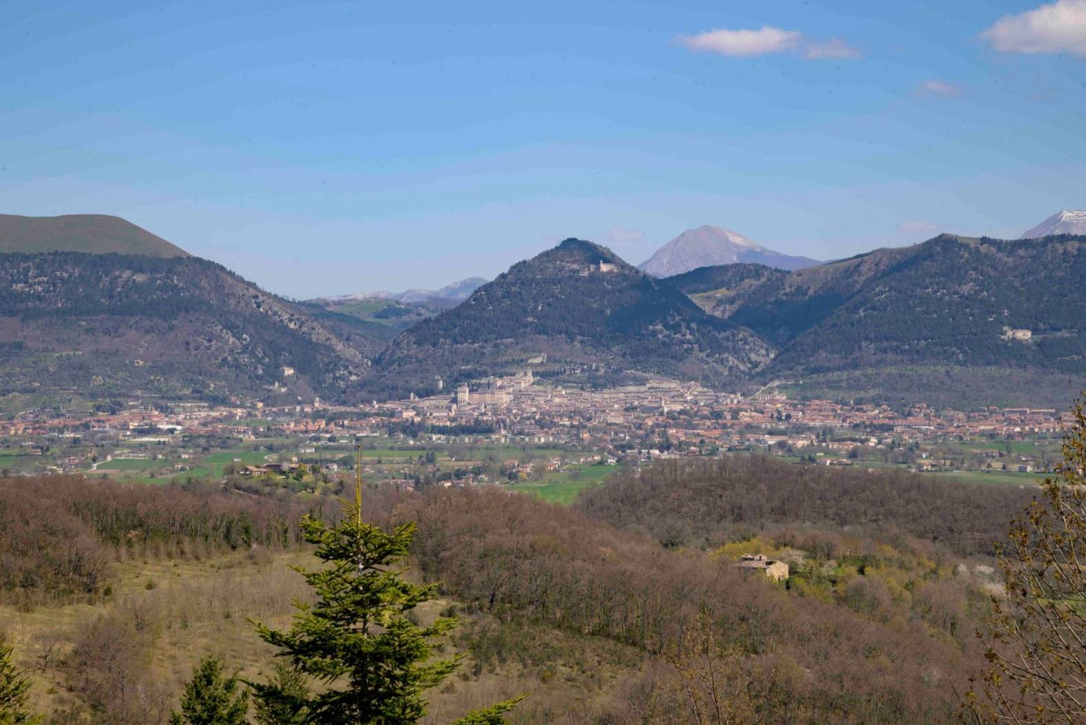 Vista