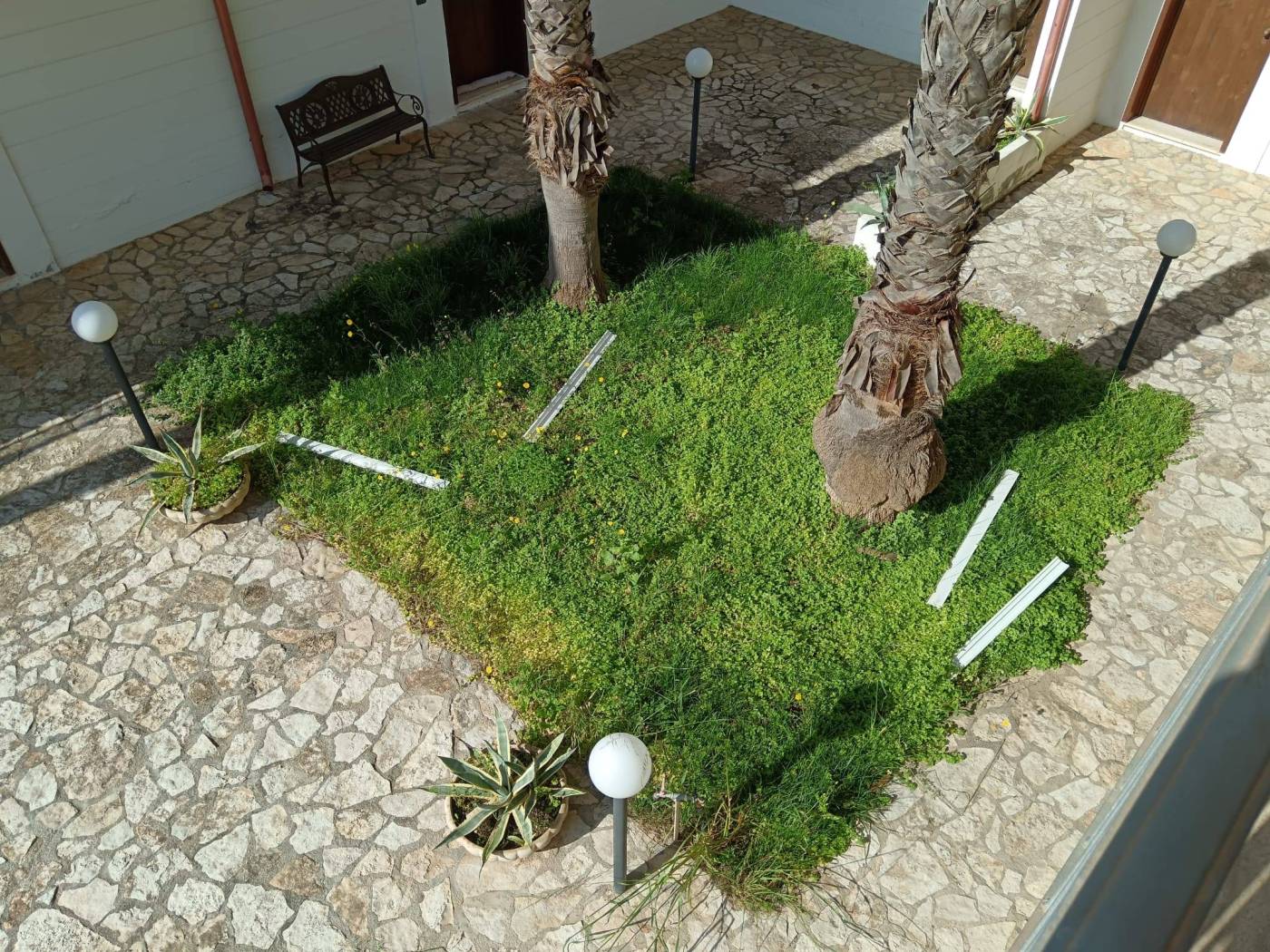 Giardino