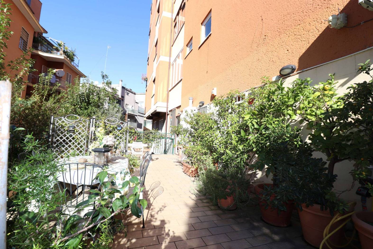 Giardino