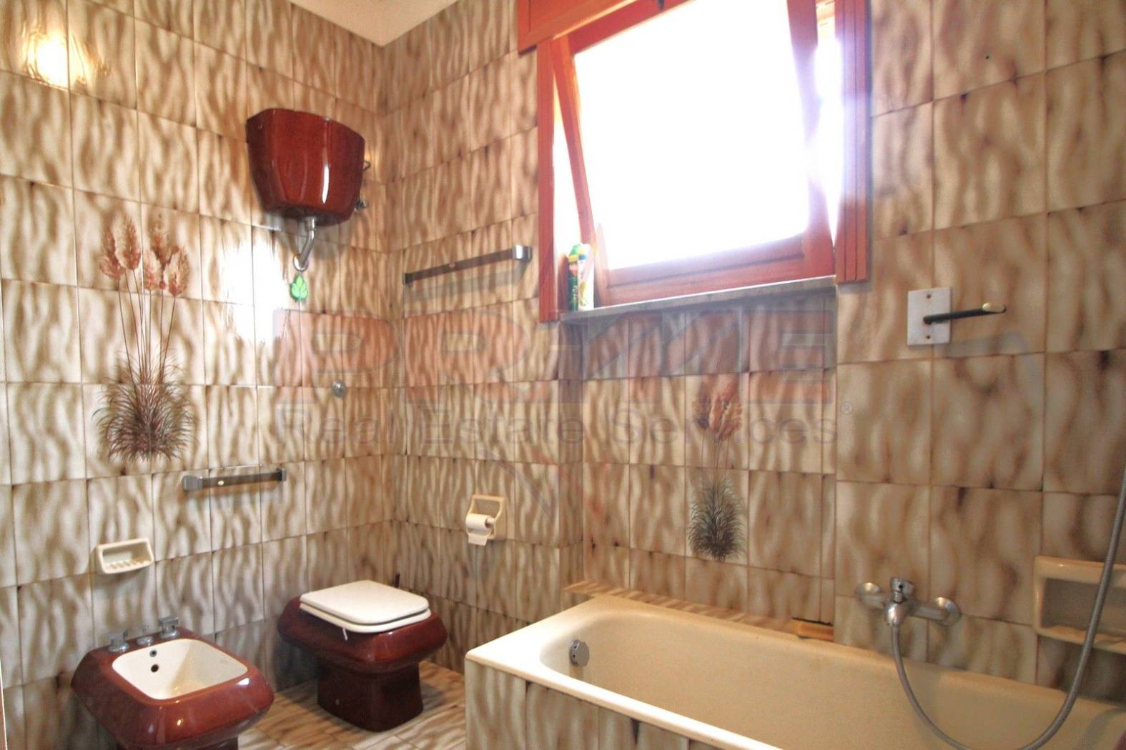 Bagno Bagno
