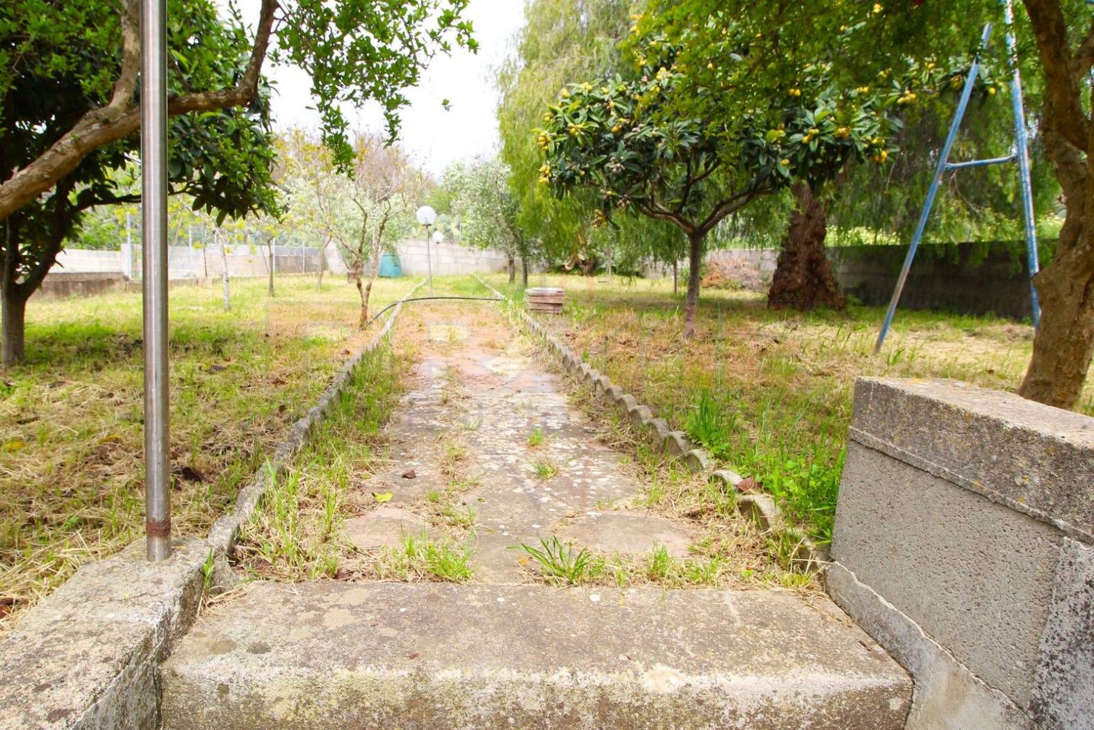 Terreno Terreno