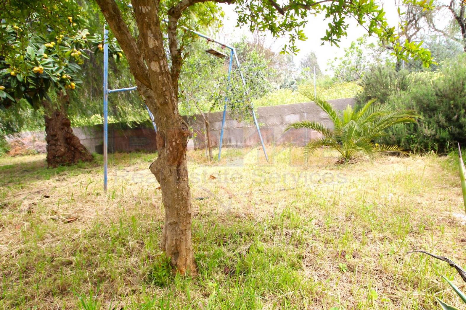 Terreno Terreno