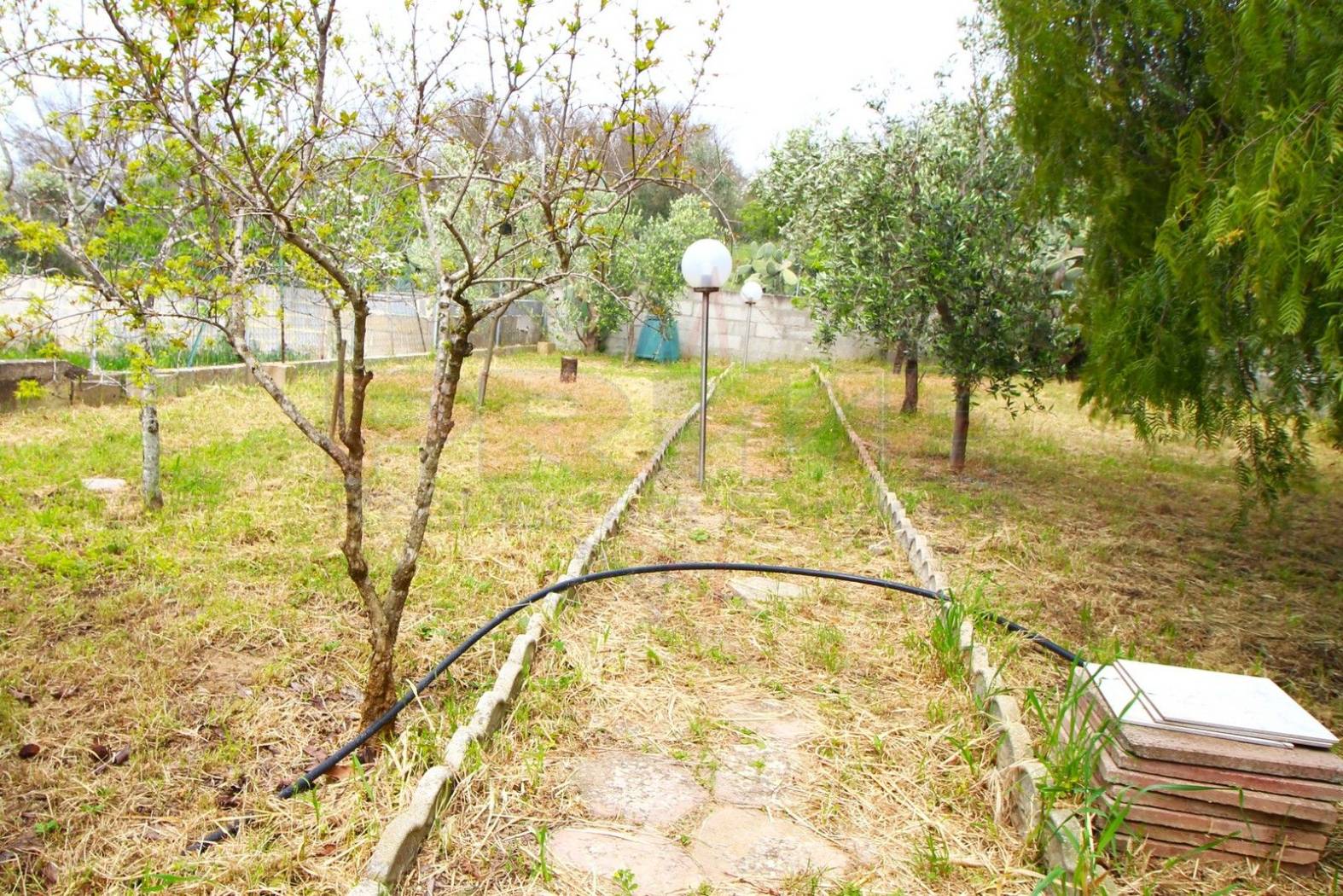 Terreno Terreno