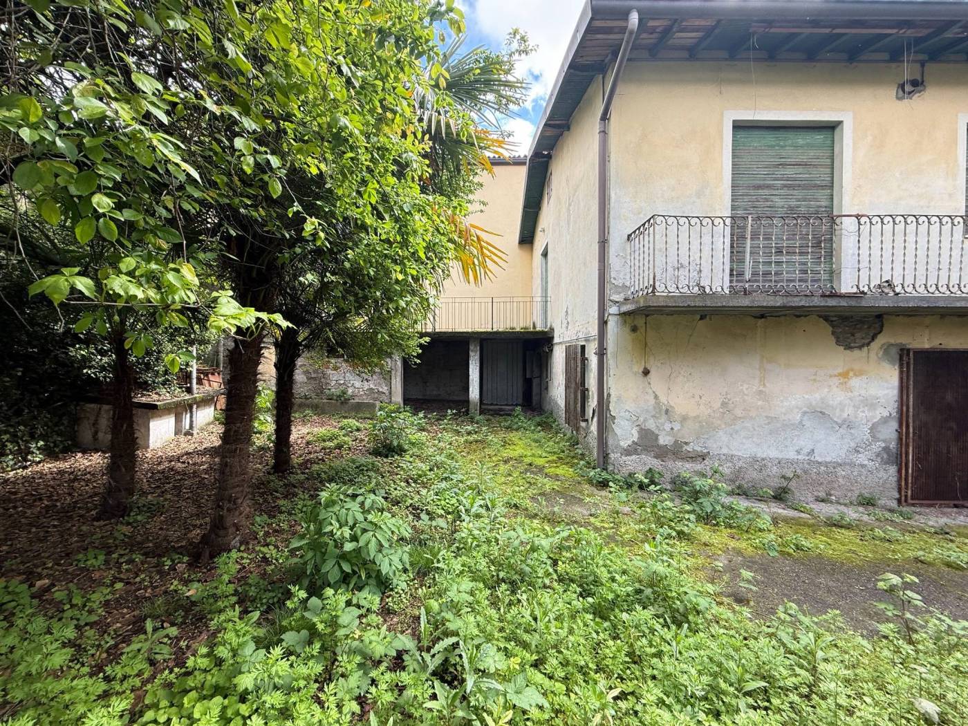 Giardino