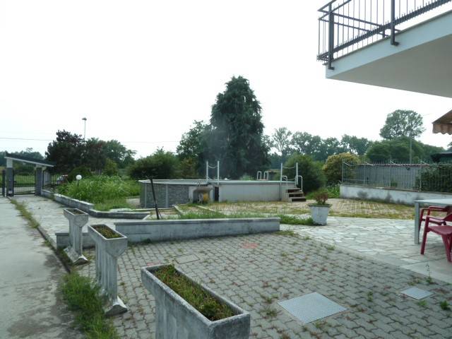 Vista