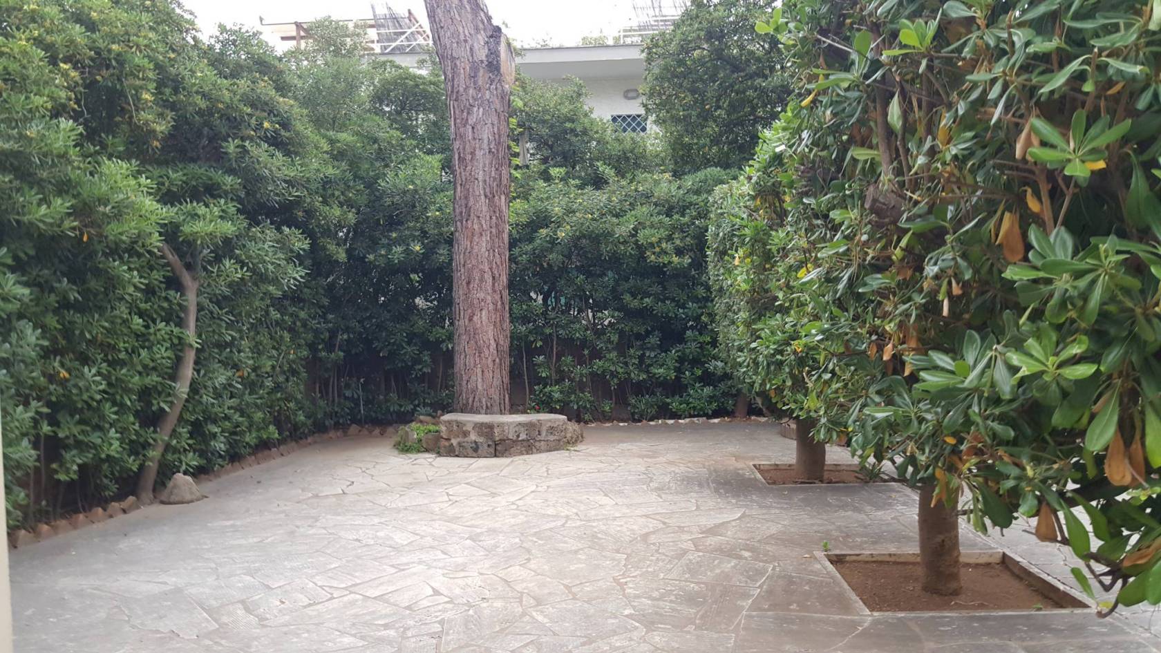 Giardino