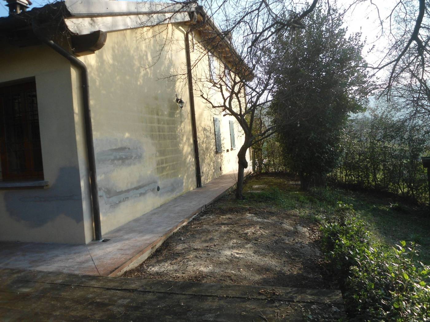 Giardino