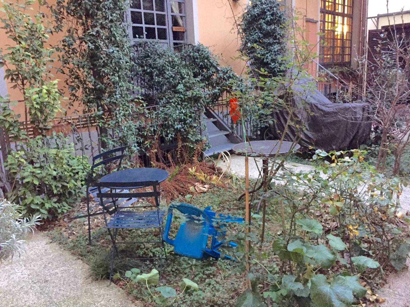 Giardino