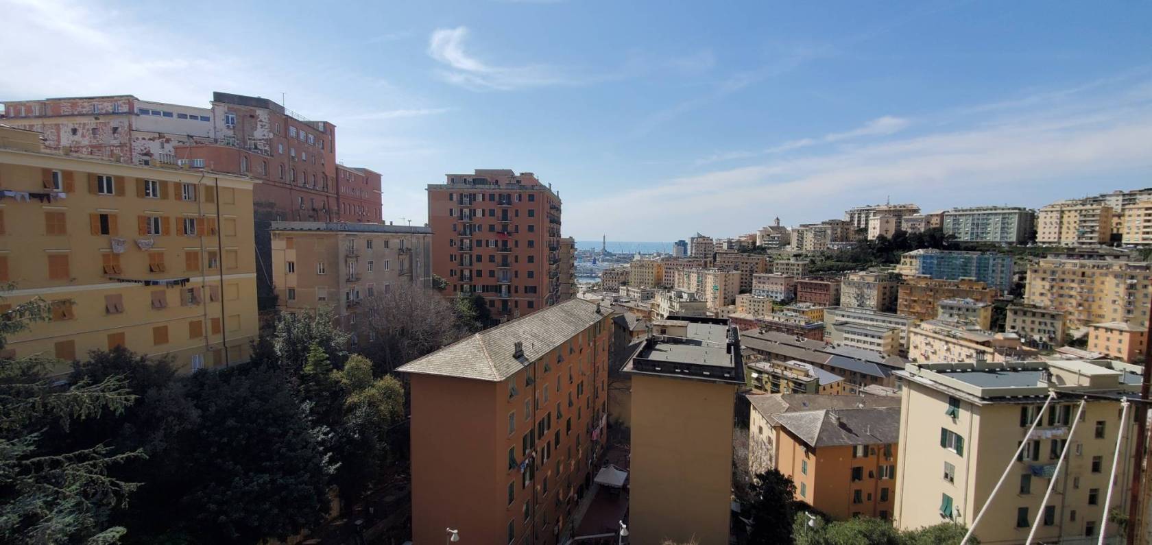 Vista